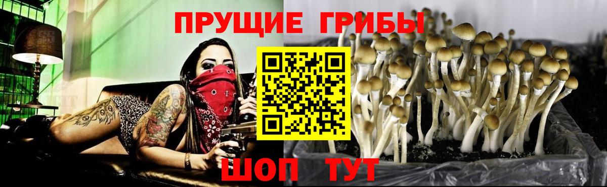 Каннабис  Конопля  Вход с VPN  Вейп ТГК  Кетамин  Корсаков  МЕФ кристаллы  Купить наркотик  Гашиш 
