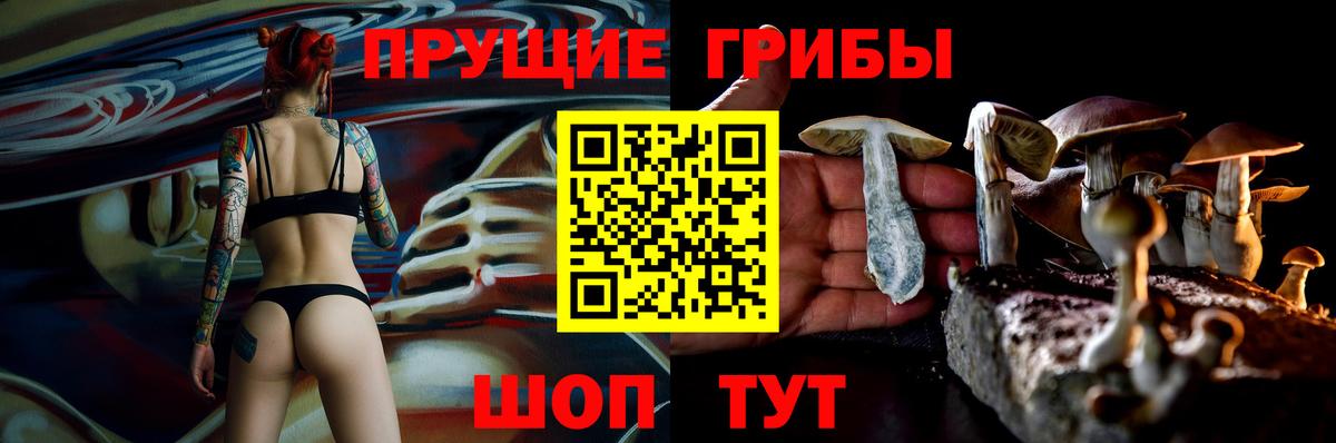 Корсаков  Галлюциногенные грибы мухоморы  где можно купить наркотик  Вход с VPN 
